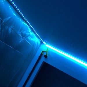 Meet your Posher, Rose